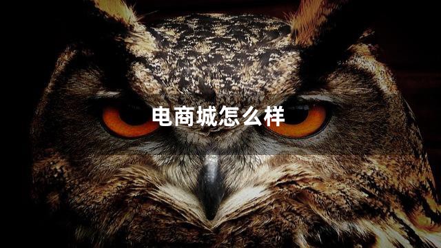 电商城怎么样