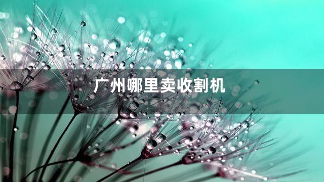 广州哪里卖收割机