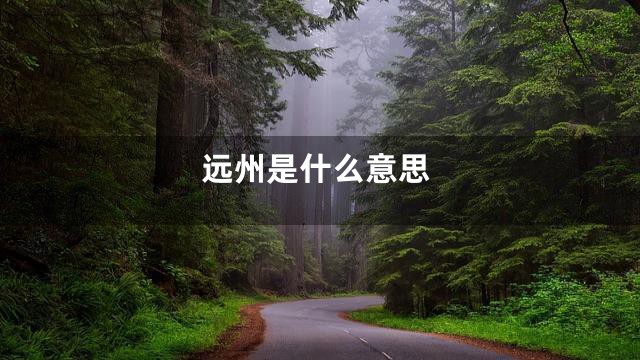 远州是什么意思