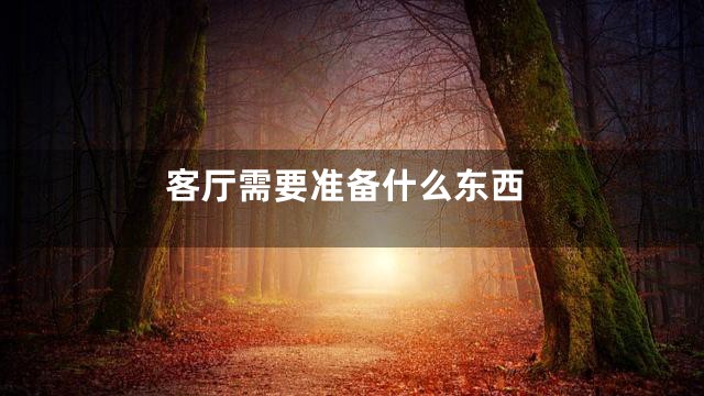 客厅需要准备什么东西
