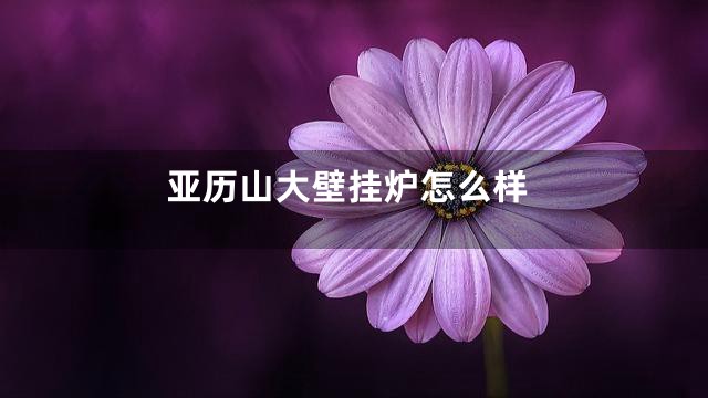 亚历山大壁挂炉怎么样