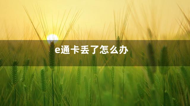 e通卡丢了怎么办