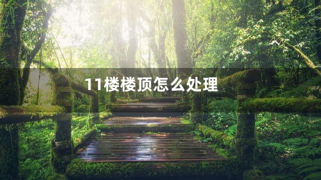 11楼楼顶怎么处理