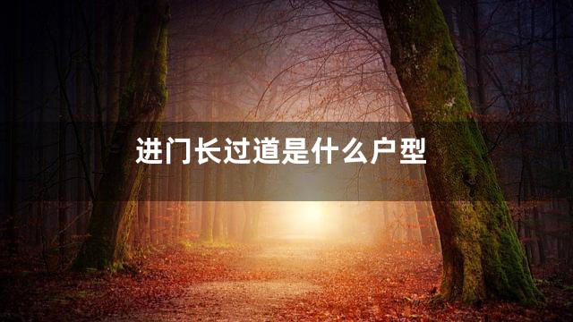 进门长过道是什么户型