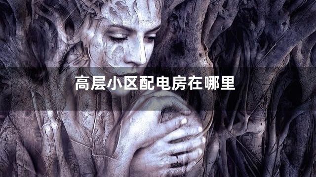 高层小区配电房在哪里