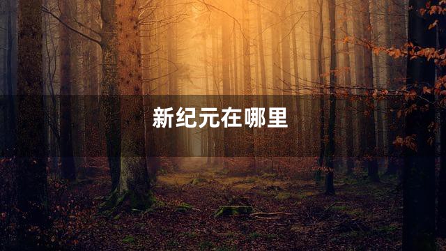 新纪元在哪里
