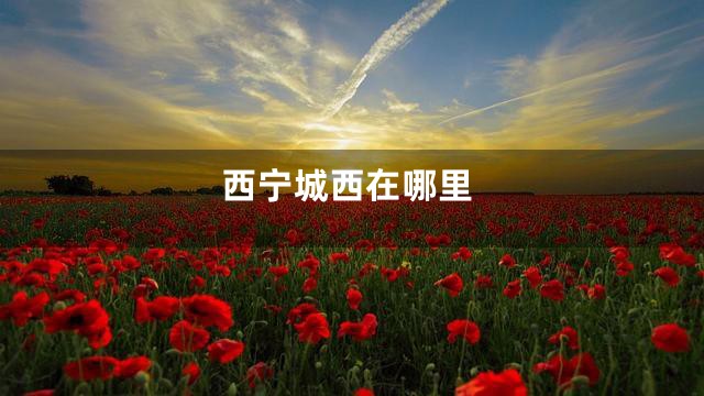 西宁城西在哪里