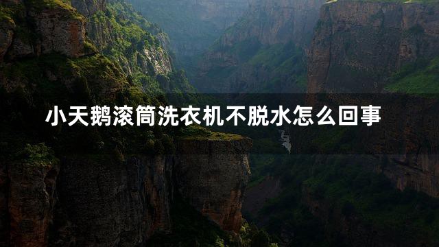 小天鹅滚筒洗衣机不脱水怎么回事