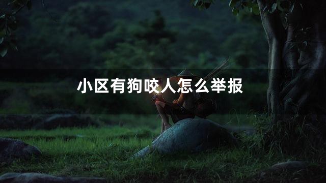 小区有狗咬人怎么举报