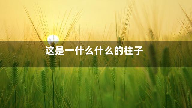 这是一什么什么的柱子