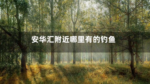 安华汇附近哪里有的钓鱼