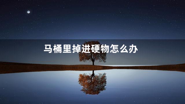 马桶里掉进硬物怎么办