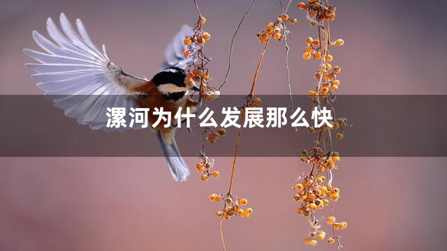 漯河为什么发展那么快