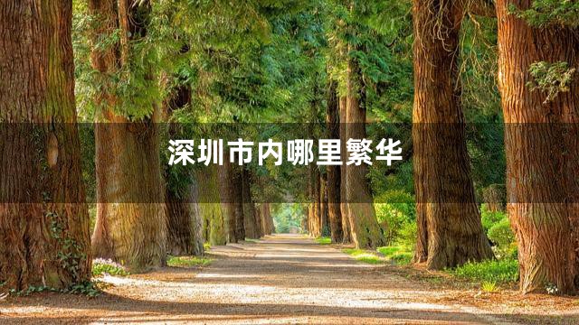深圳市内哪里繁华