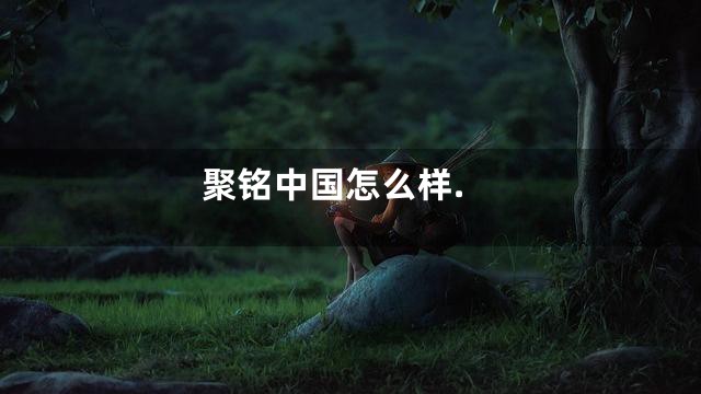 聚铭中国怎么样.