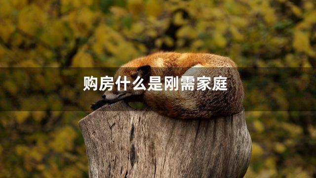 购房什么是刚需家庭