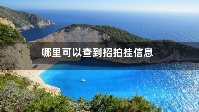 哪里可以查到招拍挂信息