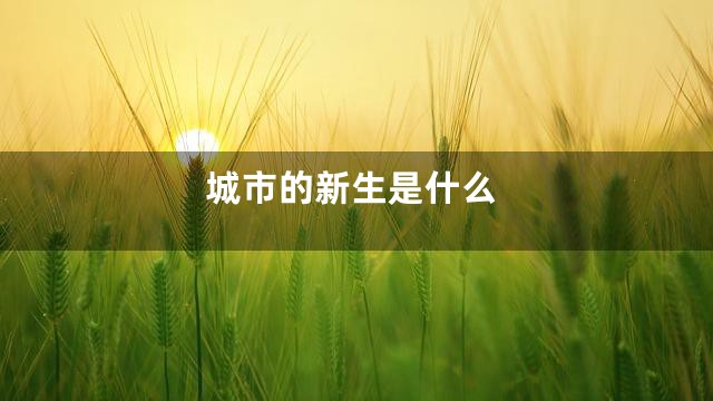 城市的新生是什么