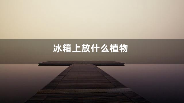冰箱上放什么植物