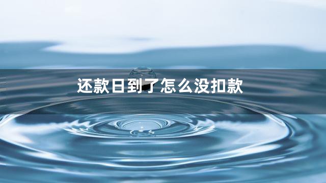 还款日到了怎么没扣款