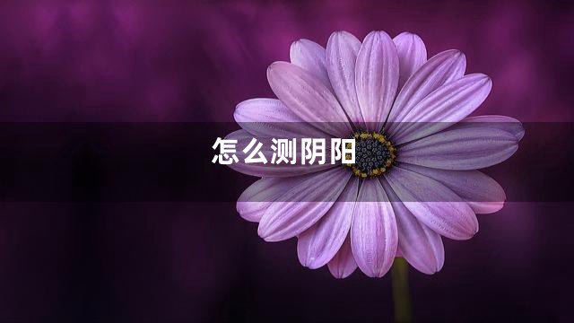 怎么测阴阳
