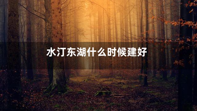 水汀东湖什么时候建好