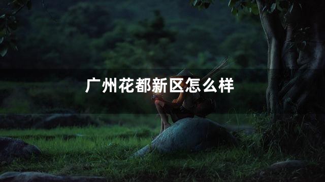 广州花都新区怎么样