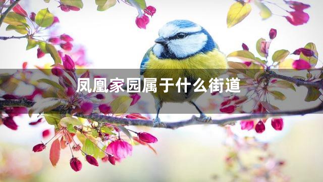 凤凰家园属于什么街道