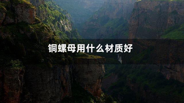 铜螺母用什么材质好