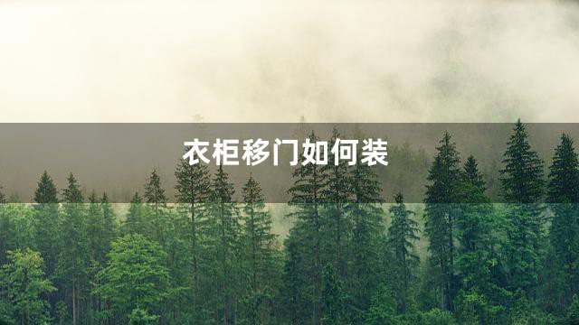 衣柜移门如何装