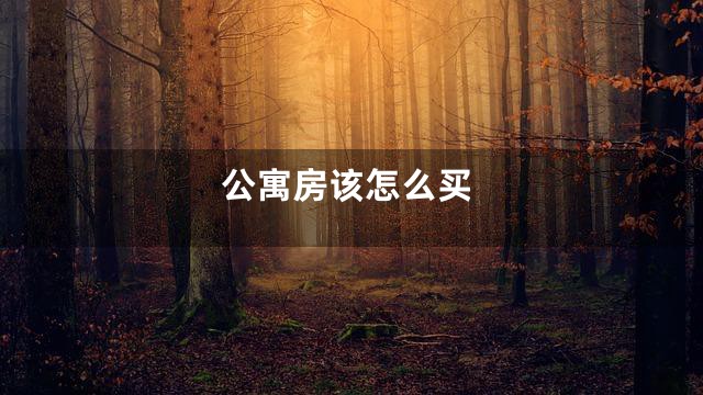 公寓房该怎么买