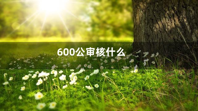 600公审核什么