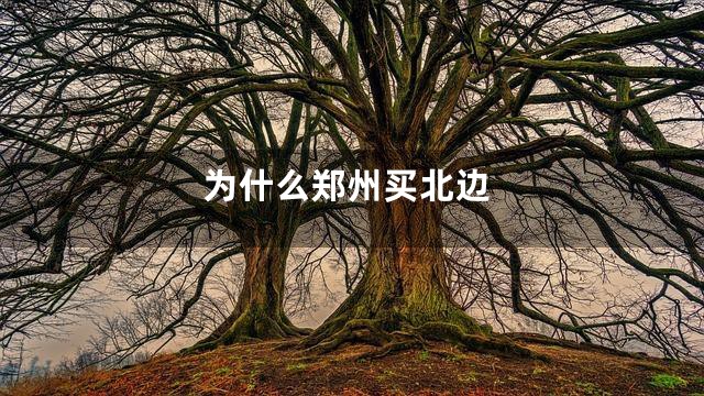 为什么郑州买北边