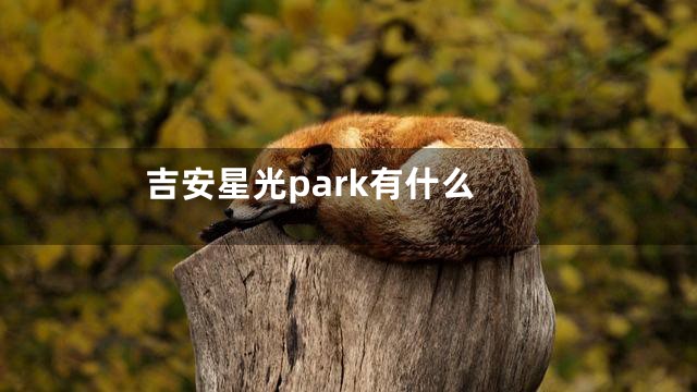 吉安星光park有什么