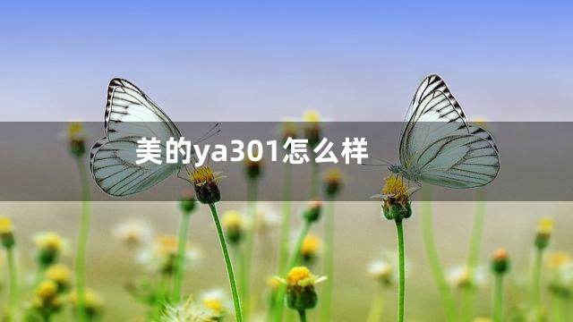 美的ya301怎么样