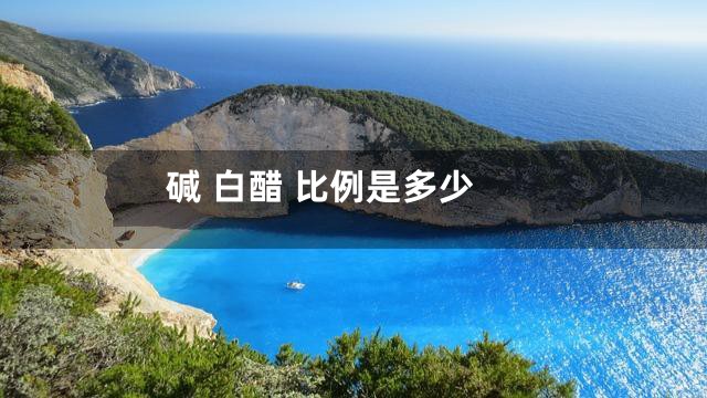 碱 白醋 比例是多少