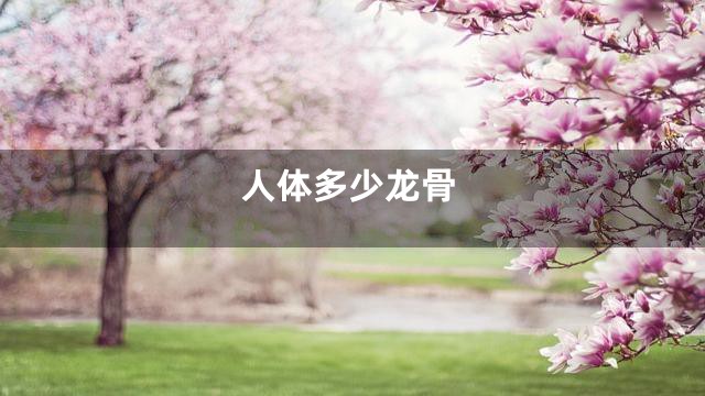 人体多少龙骨