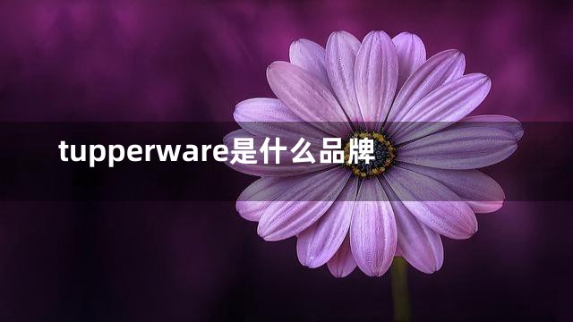 tupperware是什么品牌