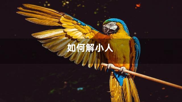 如何解小人
