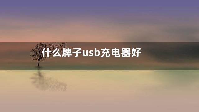 什么牌子usb充电器好