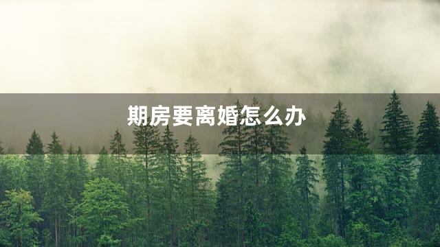 期房要离婚怎么办