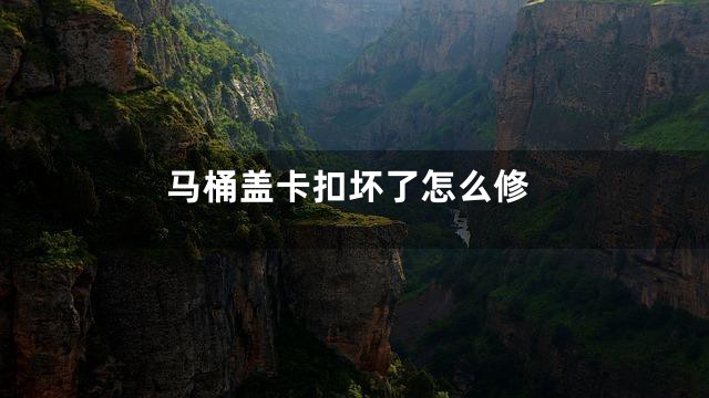 马桶盖卡扣坏了怎么修