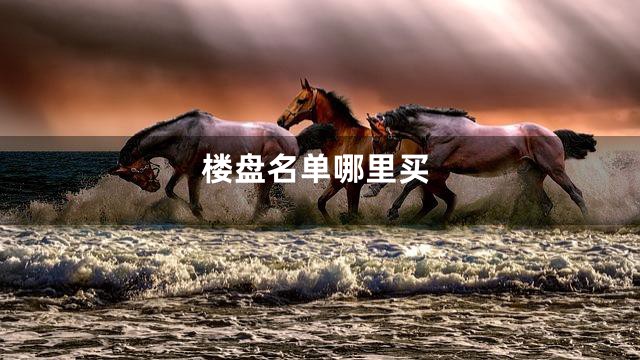 楼盘名单哪里买