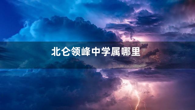北仑领峰中学属哪里