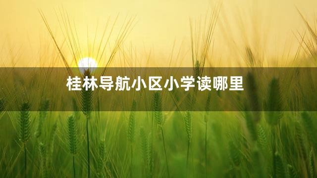 桂林导航小区小学读哪里