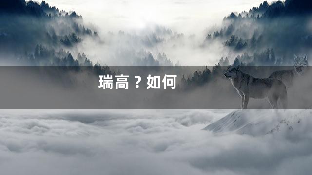 瑞高 ? 如何