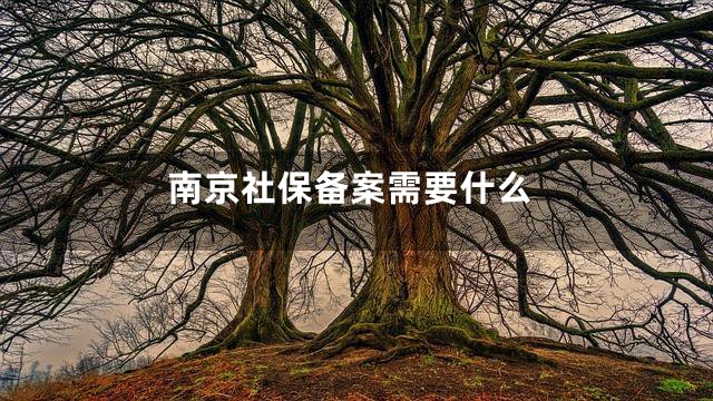南京社保备案需要什么