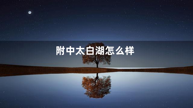 附中太白湖怎么样