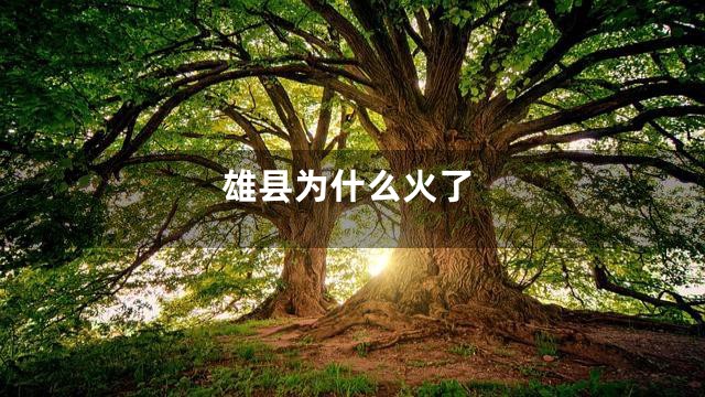 雄县为什么火了