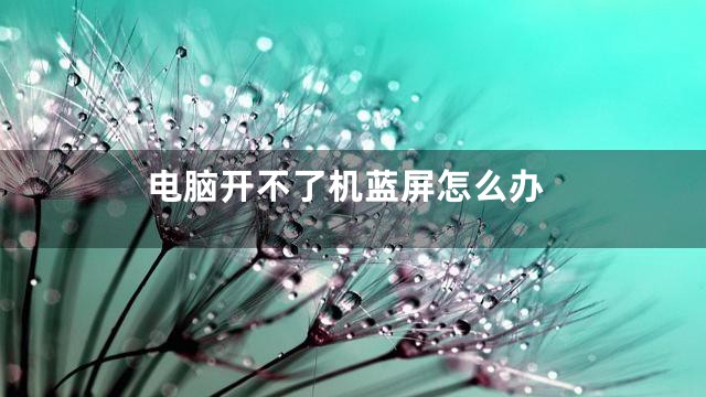 电脑开不了机蓝屏怎么办